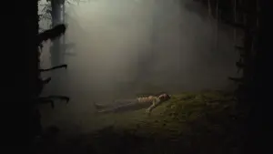 Задник до фильму"" #196215