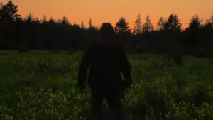 Задник до фильму"" #622172