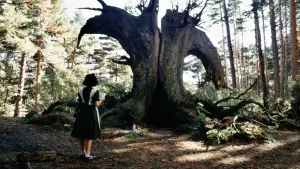 Задник до фильму"Лабіринт Фавна" #597355