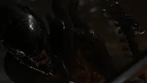 Задник до фильму"Чужий: Ромул" #546049