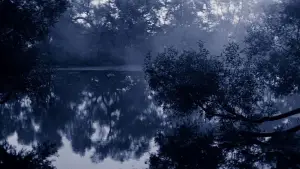 Задник до фильму"Соляріс" #731595