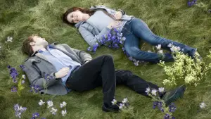 Задник до фильму"Сутінки. Сага: Новий місяць" #519834