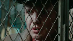 Задник до фильму"Опiвнiчний ковбой" #210169