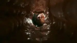 Задник до фильму"Анаконда" #625739