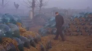 Задник до фильму"Червона пустеля" #775115