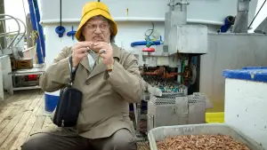 Задник до фильму"Horst Schlämmer sucht das Glück" #796670