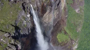 Задник до фильму"Земля" #384806