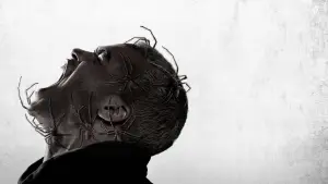 Задник до фильму"Павуче лігво" #755657