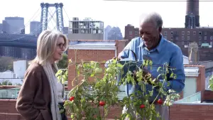 Задник до фильму"Рут і Алекс" #388064