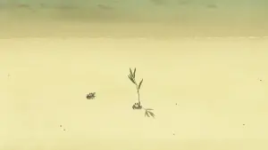 Задник до фильму"Червона черепаха" #211945