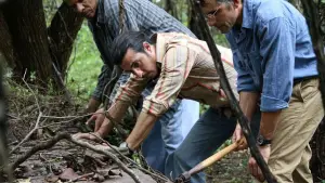 Задник до фильму"" #656604