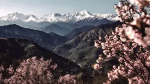 Задник до фильму"जुगनूमा" #783270