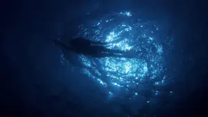 Задник до фильму"Щелепи" #521055