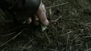 Задник до фильму"Володар перснів: Дві вежі" #516383