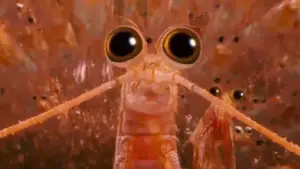 Задник до фильму"Веселі ніжки 2" #725482