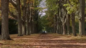 Задник до фильму"Воно" #592663