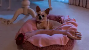 Задник до фильму"Чужі тіла" #615103