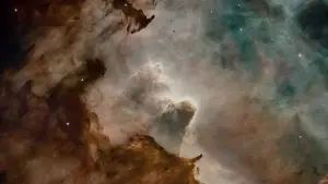 Задник до фильму"Древо життя" #723972