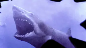 Задник до фильму"Щелепи" #768198