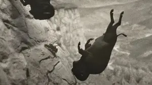 Задник до фильму"Еддінгтон" #545284