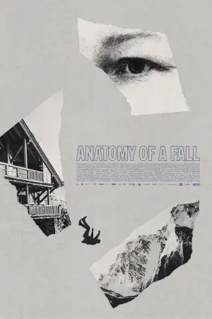 Постер до фильму"Анатомія падіння" #368235