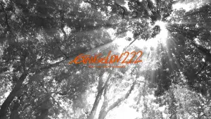 Євангеліон: 2.22 Ти (не) пройдеш