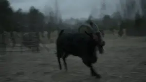 Задник до фильму"Відьма" #600289