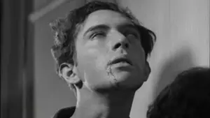 Задник до фильму"Андалузький пес" #214102