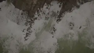 Задник до фильму"" #556021