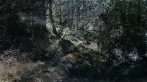 Задник до фильму"" #547801