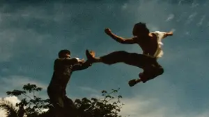 Задник до фильму"Великий бос" #726725