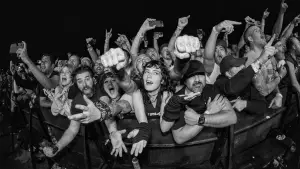 Задник до фильму"40 Years of Fuckin