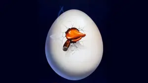 Задник до фильму"Говард-качка" #354146