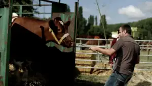 Задник до фильму"RN 72, à la conquête de l