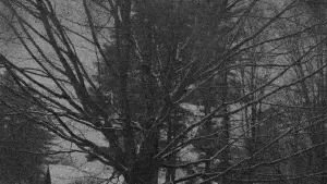 Задник до фильму"" #449267