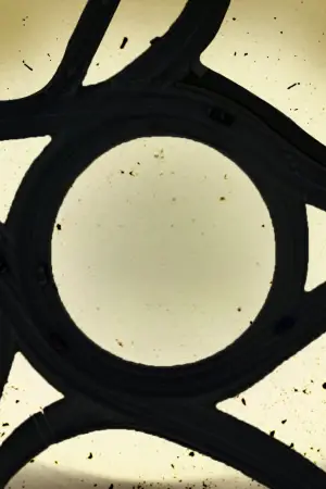 Постер до фильму"Crazxy" #792188