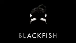 Відео до фільму Кит-убивця | Blackfish Official Trailer #1 (2013) - Documentary Movie HD