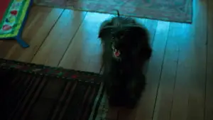 Задник до фильму"Здохни, коханий" #513543