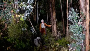 Задник до фильму"" #498254