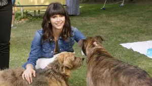 Задник до фильму"" #440396