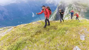 Задник до фильму"" #736313