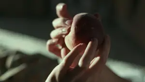 Задник до фильму"Назви мене своїм ім