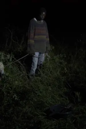 Постер до фильму"" #368709