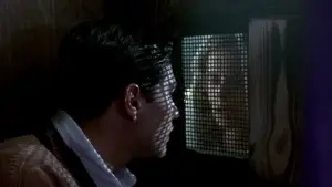 Задник до фильму"Новий кінотеатр «Парадізо»" #670411