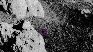 Задник до фильму"" #480698