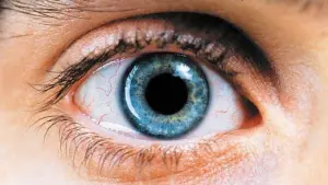 Задник до фильму"Реквієм за мрією" #179620