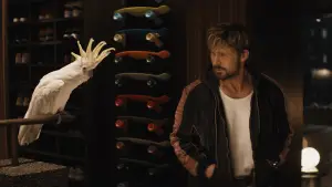 Задник до фильму"Каскадер" #572000