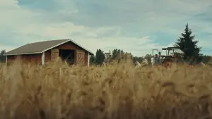 Задник до фильму"Timo: the Lord of Potato" #792001