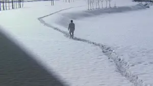 Задник до фильму"東京流れ者" #763926