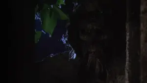 Задник до фильму"" #470086